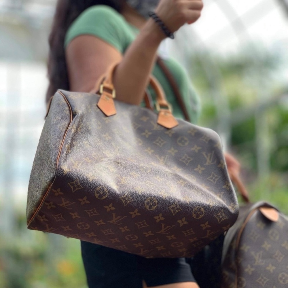 Louis Vuitton Brown Travel Bag